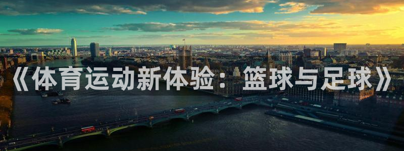 凯发官方正版app娱乐下载:《体育运动新体验:篮球与足球》